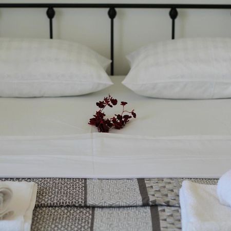Apartment Nero 扎达尔 外观 照片